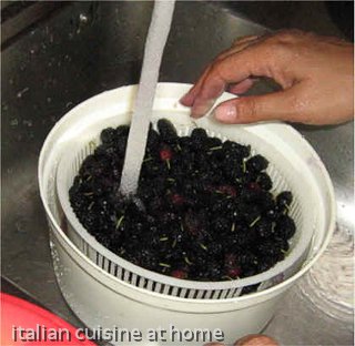 making mulberry jam