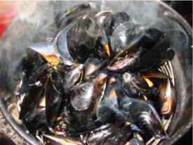 blue mussels